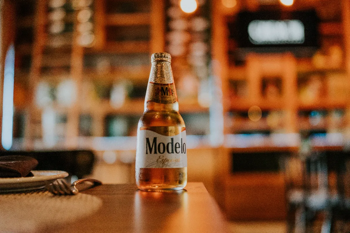 Modelo Especial