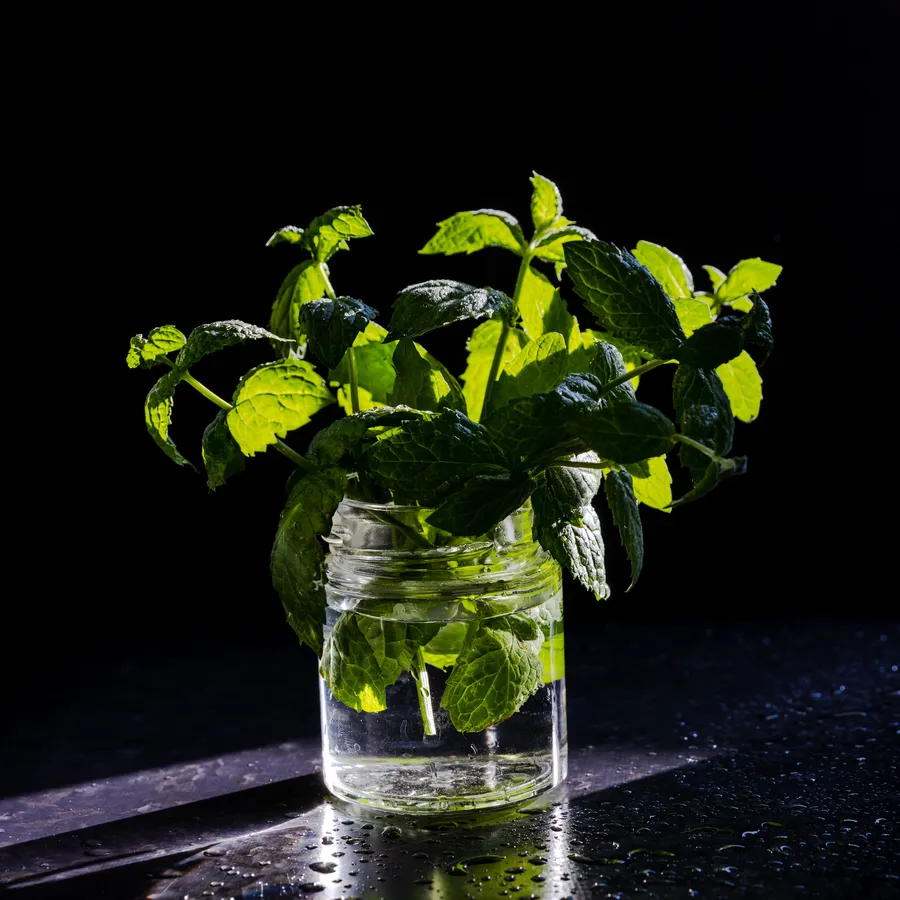 Agua del Día