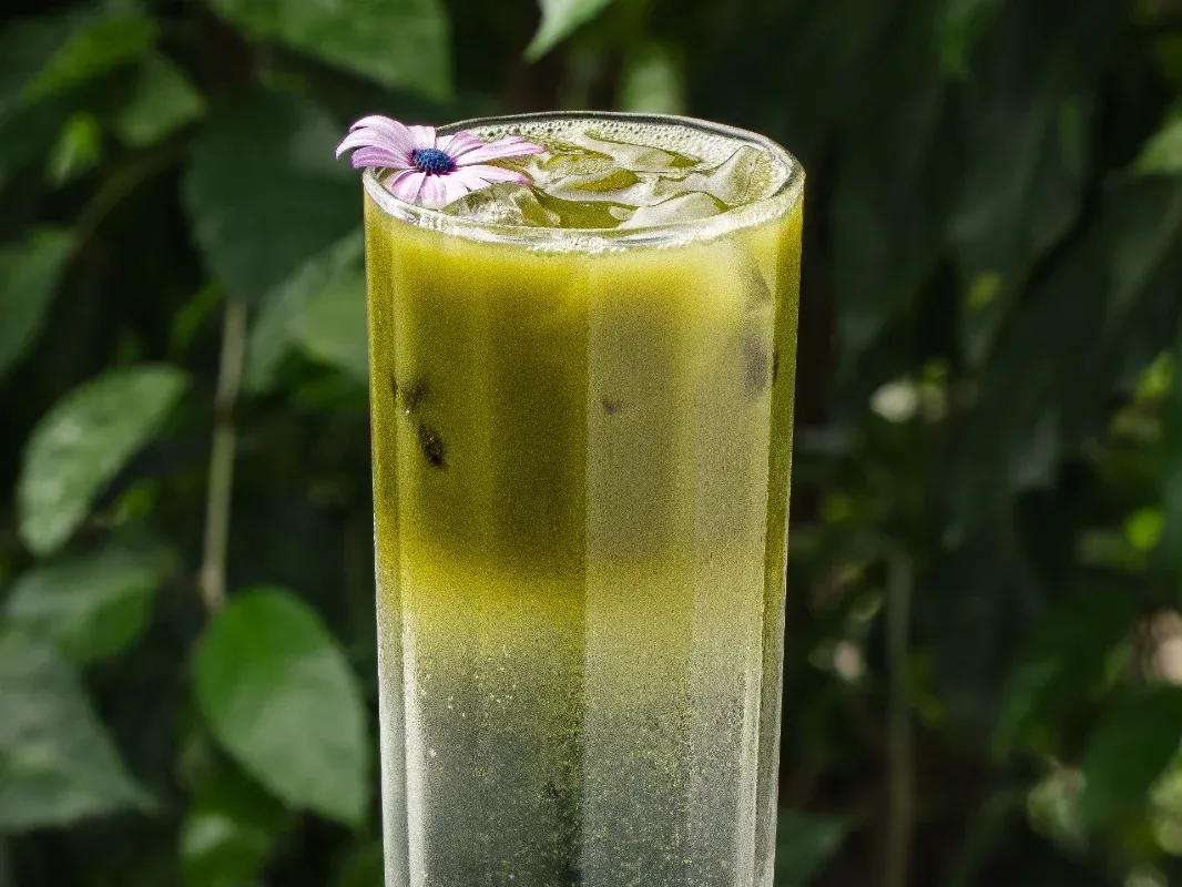 Matcha Tonic